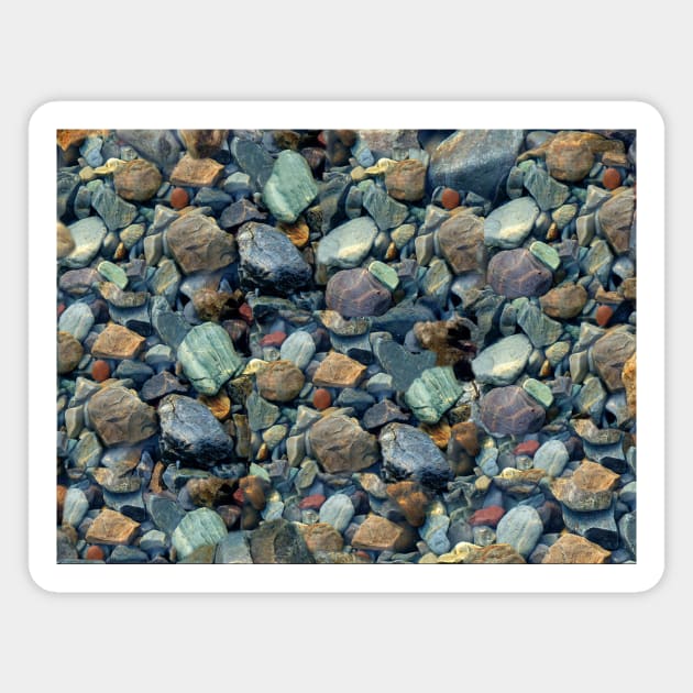 Underwater Rocks - Flathead Lake Montana Magnet by RVToolbox